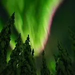Free Auroras 2 * Rovaniemi