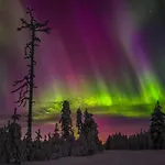 Free Auroras 2 Appartement *