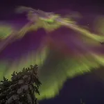 Free Auroras 2 Appartement