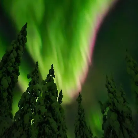 Free Auroras 2 * Rovaniemi