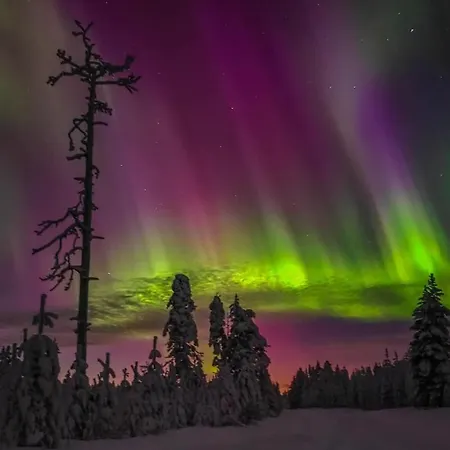 Free Auroras 2 Lejlighed *