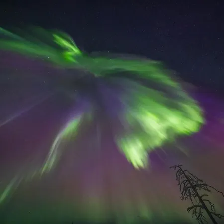 Lejlighed Free Auroras 2