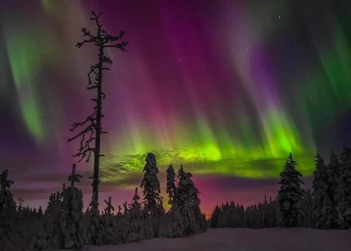 Free Auroras 2 Apartamento *